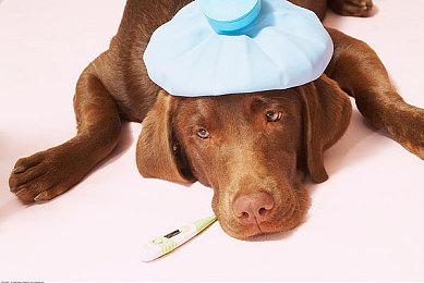 RTX 5090运行装3500多个MOD的《上古卷轴5》效果